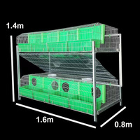 Cage à lapins commerciale de style européen à 2 niveaux pour 8 lapins, en fil de fer galvanisé à chaud