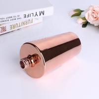 Grande bouteille de diffuseur 500ml Bouteille de diffuseur de roseau en verre de luxe vide