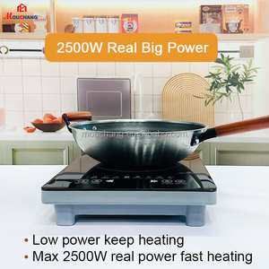 Écran tactile <span class=keywords><strong>électrique</strong></span> <span class=keywords><strong>de</strong></span> cuisinière à induction portable <span class=keywords><strong>2500W</strong></span> pour usage domestique en plastique durable - Product Image 5