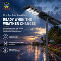 Lampadaire solaire tout-en-un à faible entretien 30W 60W 80W 100W 120W IP65 résistant au sel pour les villages côtiers