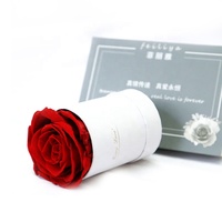 Meilleure Vente 2026 : Rose Éternelle Préservée en Boîte – Cadeau Fête des Mères, Décoration de Mariage