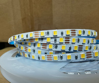12V 24V SMD2835 2in1 LED double température de couleur blanche LED bande lumineuse 5mm 8mm 10mm 120LEDs/m 180LEDs/m pour l'éclairage de la maison d'armoire