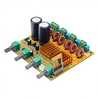 Carte d'amplification de puissance 21 canaux haute performance numérique de classe D 3 voies HIFI pour subwoofer, modèle HQXRTEK 3116