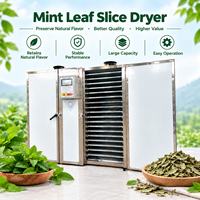 Déshydrateur industriel à air chaud pour menthe, séchoir à herbes, four de séchage à plateaux pour feuilles de menthe séchées