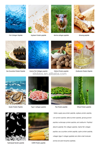 हाइड्रोलाइज्ड सोयाबीन पेप्टाइड पाउडर/सोयाबीन पेप्टाइड पाउडर सोया पेप्टाइड पाउडर - Product Image 5