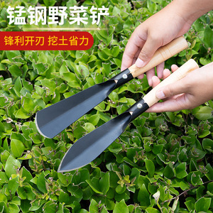Truelle de jardin Airi Shield en acier au manganèse, lame double face de 3 pouces pour creuser et repiquer - Product Image 3