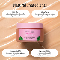 Scrub Kulit Kepala Detox Peppermint Aloe Vera Pink Clay Private Label untuk Mengontrol Minyak dan Ketombe