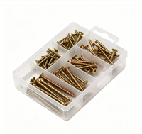 Lot en gros de 76 vis pour aggloméré robustes, assortiment en boîte à grille, outils de quincaillerie pour menuiserie et rénovation