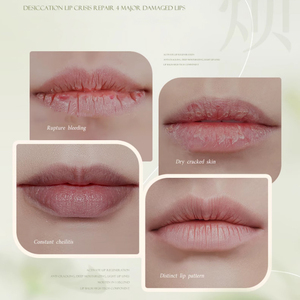 Lucidalabbra Personalizzato a Lunga Durata, Non Appiccicoso, Lucido, ad Alta Pigmentazione, Etichetta Privata, Idratante e <span class=keywords><strong>Volumizzante</strong></span>, Balsamo Labbra per Trucco - Product Image 2