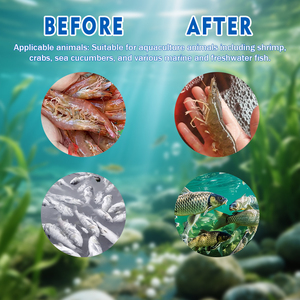 Convertisse les nitrites en nutriments pour les algues, <span class=keywords><strong>sans</strong></span> effet de rebond, améliore l'eau et les sédiments du dégrader de nitrites CY pour le traitement en aquaculture - Product Image 5