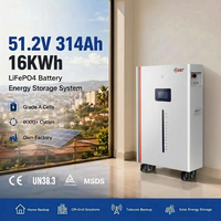 Batterie onduleur LiFePo4 EU 8000 cycles EMS 10-20KW 51.2V 100Ah 200Ah 314Ah pour système d'alimentation domestique mural, marque CAN BEST