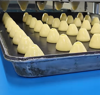 Nouvelle machine à déposer les biscuits et le pâte à sucre pour la production de biscuits, facile à utiliser, pour noix, farine et matières premières, 220V, garantie 1 an