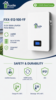 Batería de Almacenamiento de Energía LiFePO4 Integrada en Pared con BMS, 51.2V 100Ah 5.12kWh, 6000 Ciclos, Compatible con Conexión en Paralelo
