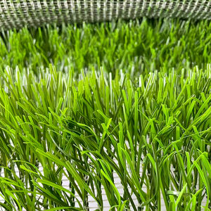 Tapis artificiels en gazon <span class=keywords><strong>hybride</strong></span> tissé écologique Tapis de terrain de sport de stade de football durable Alternative économique à l'intérieur - Product Image 4