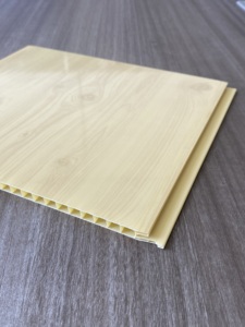 Panel de Techo Interior de <span class=keywords><strong>PVC</strong></span> Satinado Sky de 25 cm, El Salvador Lambris - Product Image 2