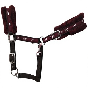 Equipo ecuestre de calidad, cabezada acolchada para caballo con doble hebilla y forro de lana, fabricante de collares para caballo en Kanpur, India. - Product Image 3