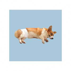 Pañales para Mascotas, Pañales Súper Absorbentes y Suaves para Perros Hembras y Machos en Venta - Product Image 2