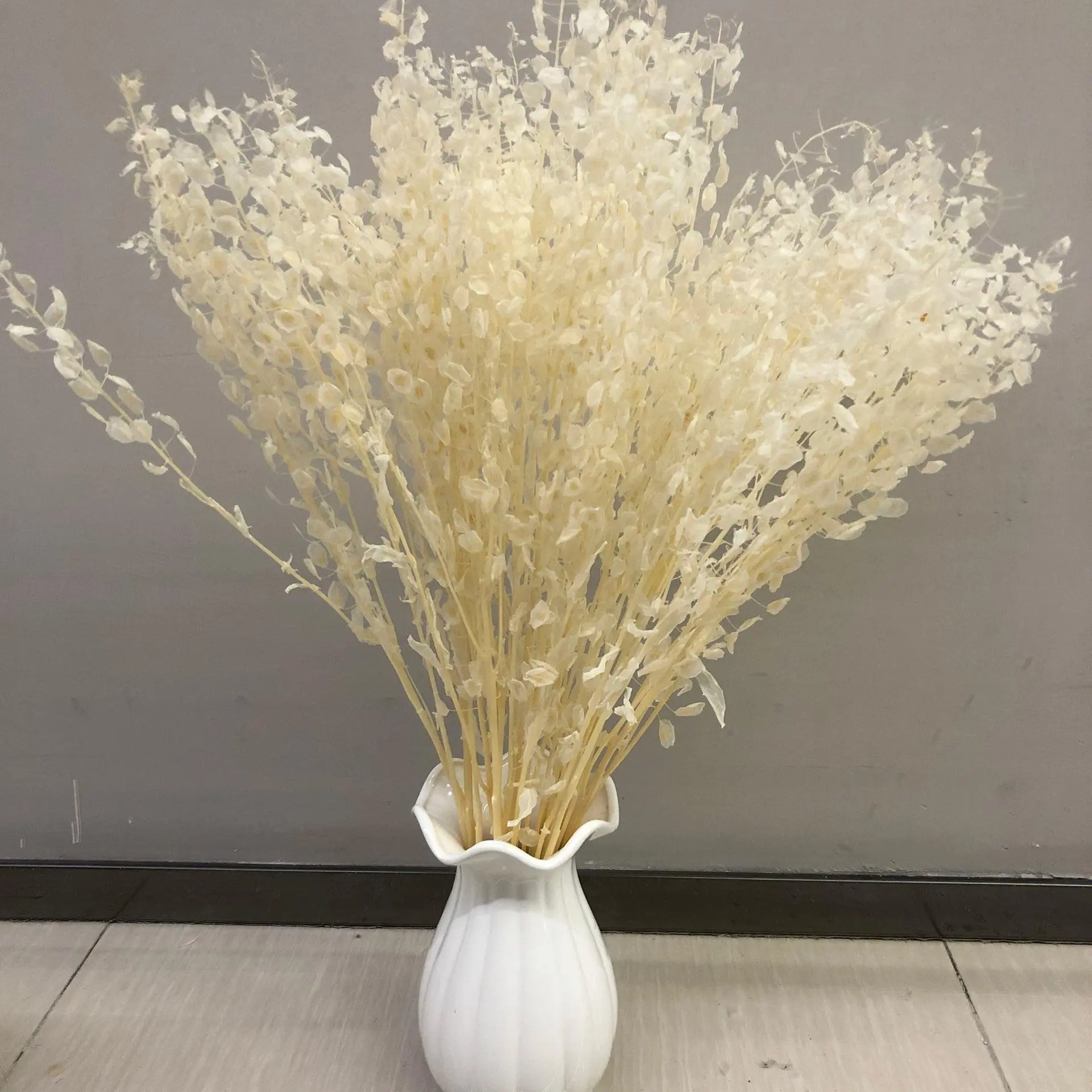 C280-hojas naturales decorativas para el hogar, flores secas de semillas de Lunaria Annua