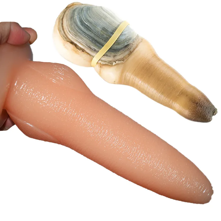 8" big anal toys 2" thick panopea abrupta shaped dildo seafood clams shaped butt plug pussy anus geoduck dildo for women