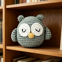 Kit de crochet amigurumi hibou mignon fait main DIY, jouet en tricot, kit d'artisanat de décoration intérieure pour débutants avec fil et outils