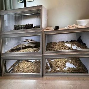 Vente en gros présentoirs pour reptiles élevage horizontal serpent reptiles rack en alliage d'aluminium élevage rack serpents reptiles - Product Image 6