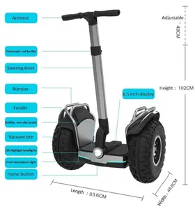 Hai Bánh 19Inch Off Road Thông Minh Tự Cân Bằng Hover Board Electric Scooter Người Lớn Với Pin Lithium