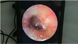 Bộ Camera Nhỏ Cầm Tay Mới 2021 Có Màn Hình - Product Image 2