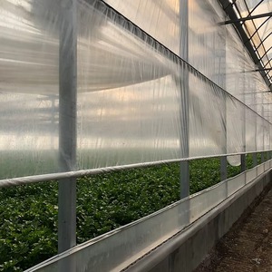 Serre verticale multi-chapelles en film pour la production intensiviste de salades hydroponiques en intérieur – Kit de système d'usine - Product Image 2