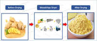 Aangepaste Industriële Gember Ui Chili Meel Poeder Productiemachines Fruit Groentevoedsel Banaan Droge Chips Machines