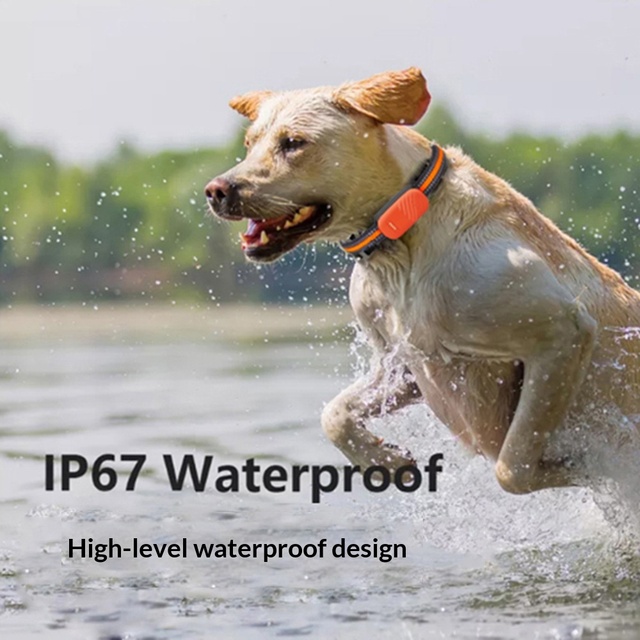 GPS Beidou Dog Tracking Collar with 4G WiFi Positioning 1000km Range Waterproof Plastic 800mAh Battery Android/iOS Compatible