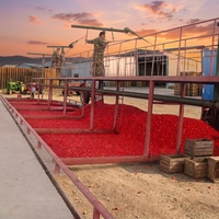 Chaîne de production automatique de pâte de tomate, confiture, sauce et ketchup pour le remplissage et l'emballage