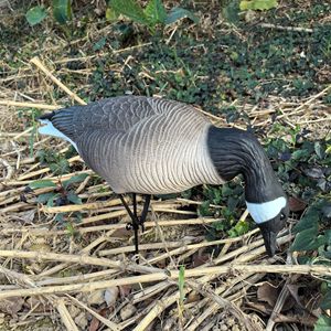 Décoy de chasse en EVA pliable 3D ultra-réaliste pour oie, 3 postures, corps entier, qualité supérieure, pour jardin et aménagement paysager - Product Image 5