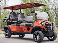 Carrito de Golf Eléctrico de 2 Plazas Personalizable de Alta Calidad, Homologado para Circular por la Calle, con Motor de Alta Potencia de 48V, Certificado CE Dot Eec