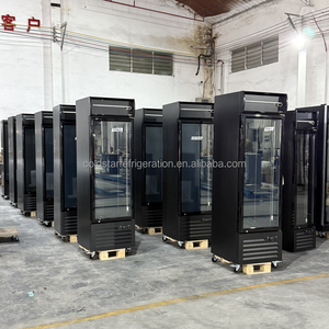 Refrigeradores Verticales para Helados de Tiendas de Abarrotes al por Mayor, Refrigerador de Exhibición con Puerta de Vidrio Simple, Enfriamiento por Ventilador, Capacidad de 380L - Product Image 6