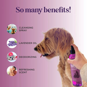 Nuovi arrivi Pet Care Dog Spray amichevole profumo per animali domestici eliminatore di odori per cani e gatti senza risciacquo senza alcool Spray deodorante per cani - Product Image 4