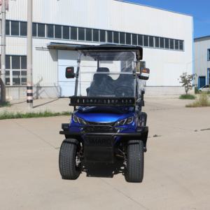 Carrito de Golf Eléctrico de Nueva Energía con la Mejor Relación Calidad-Precio, Configuración Básica, Buggy Económico - Product Image 6