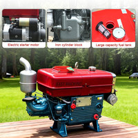 Zs1125 28HP Moteur diesel refroidi par eau, petit moteur diesel bon marché, haute qualité et faible consommation de carburant, sont des produits très vendus en Afrique
