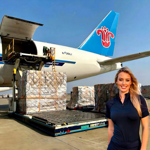 Эффективный налог на услуги авиаэкспресс-доставки от двери до двери, включая специальные необщие перевозки грузов в Западную Европу - Product Image 1