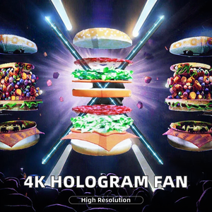 Factory Wholesale Indoor OEM Holograma <b>Wifi</b> App 1080p Christmas Hologram Display Fan <b>Projector</b> 3D Hologram - Product Image 2