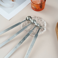 Cuillère à matcha portable en acier inoxydable, écologique, cuillères doseuses multi-tailles, pour la distribution de poudre de thé, thé matcha traditionnel