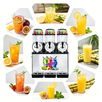 Machine à slush à double réservoir 12L 2 pour restaurant de restauration rapide 800W CE en acier inoxydable, machine à boissons glacées
