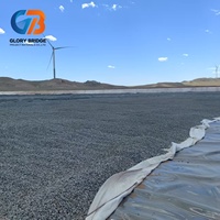 Géotextile non tissé aiguilleté en polyester PP pour la construction routière et le drainage