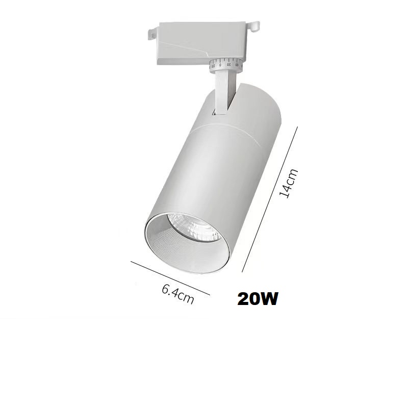 20W Blanc