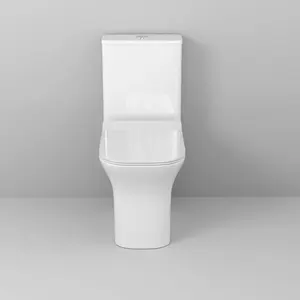 Nouvelle Offre Spéciale en céramique style toilette salle de bain conçoit deux pièces en céramique cuvette de toilette ensemble wc pisse commode p piège
