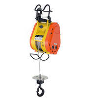 Nouvelle mini-treuil électrique monophasé en aluminium de 250 kg avec câble de levage et télécommande pour restaurants, hôtels, magasins de matériaux de construction