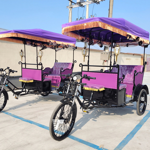 Vente directe d'usine, nouveau tricycle à 3 roues pas cher pour adultes, prix de gros le moins cher/tricycle électrique à batterie haute efficacité - Product Image 1