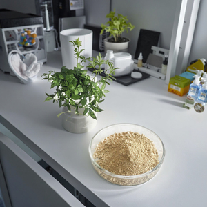 Bổ sung sức khỏe jiaogulan <span class=keywords><strong>Gynostemma</strong></span> <span class=keywords><strong>pentaphyllum</strong></span> chiết xuất gypenosides 80% 98% hplc chứng nhận số lượng lớn bột trong 25kg sợi trống - Product Image 1