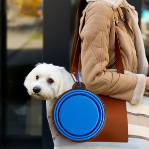 Personalizado Pet Alimentador Accesorios Para Mascotas Alimento Seco Dobrável Tigela Do Cão Cão Alimentador Lento Portátil Tigela Do Cão - Product Image 3