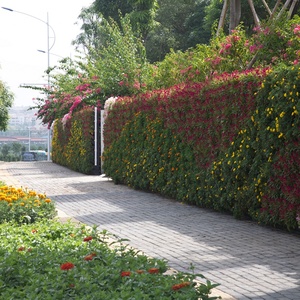 Paneles para Jardín Vertical, Materiales para Jardín Vertical de Pared SL-XQ5025 - Product Image 6