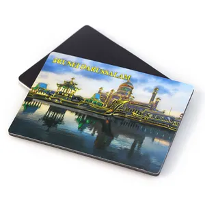 3d Pvc Toerisme Souvenir Koelkast Magneet Custom Maken Brunei Darussalam Gestanst Vinyl Magneet